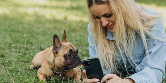 HOW TO KEEP YOUR PETS HAPPY INDOORS