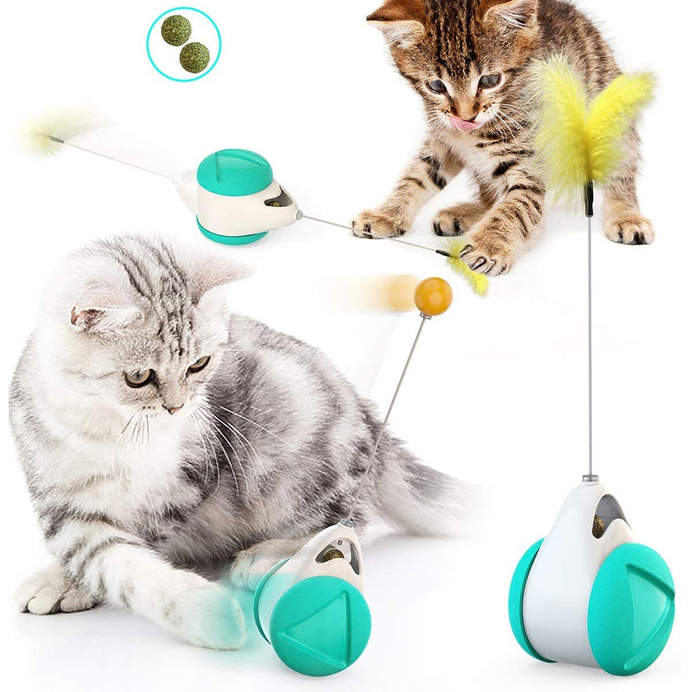 Swing Tumbler Pet Toy