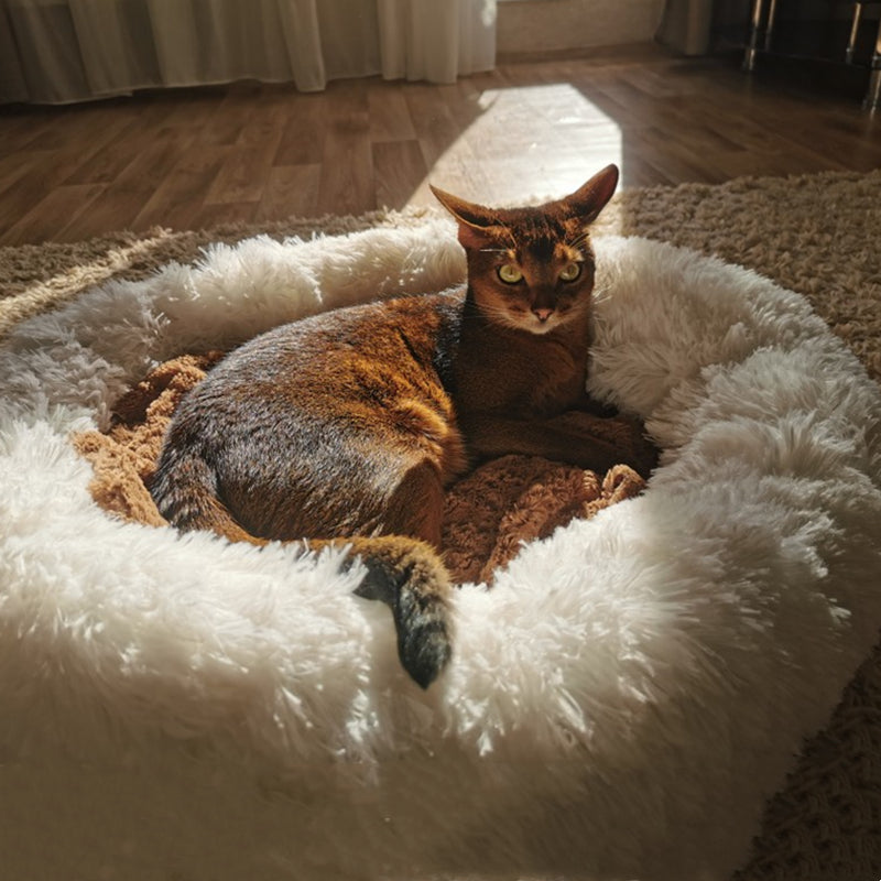 Round Pad Pet Accessories